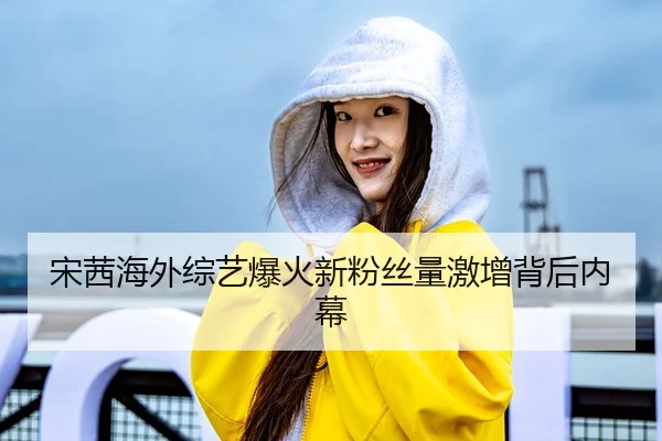 song-qian-hai-wai-zong-yi-bao-huo-xin-fen-si-liang-ji-zeng-bei-hou-nei-mu-1-215.jpg